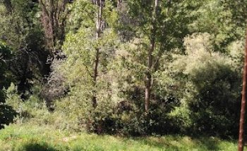 Centro Medico Veterinario San Lorenzo