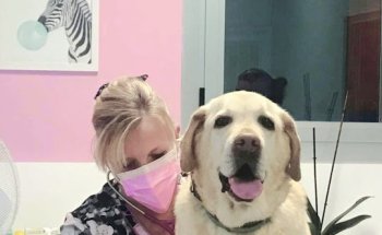 Centro Clínico Veterinario Uno + de la familia