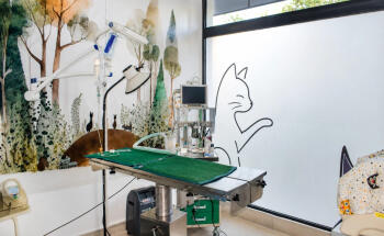 Clínica Veterinaria Como Reyes