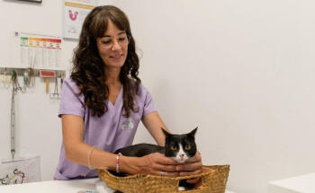 Clínica Veterinaria Como Reyes