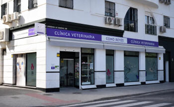 Clínica Veterinaria Como Reyes
