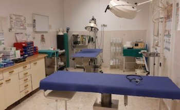 Clínica Veterinaria Ronda de Capuchinos