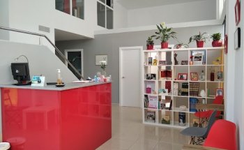 CLÍNICA FELINA SEVILLA.