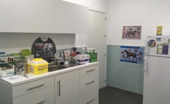 Clínica Veterinaria GUAU + MIAU SEVILLA