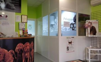 ( Mañanas cita previa ) Clínica Veterinaria Santa Clara