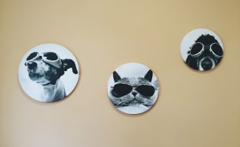 Centro Veterinario Sanican