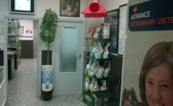 Centro Veterinario Monzon