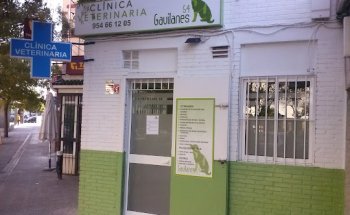 Clínica Veterinaria Gavilanes 54 en Sevilla
