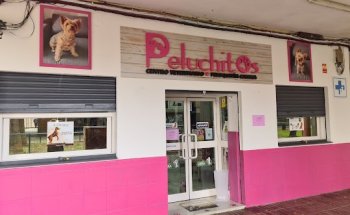 Centro Veterinario Peluchitos Vértice
