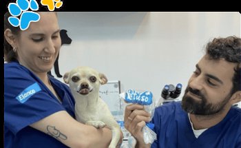 Clínica Veterinaria Petuso Vet Center