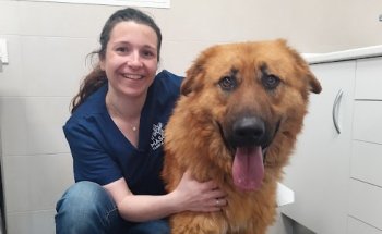 Clínica Veterinaria Mi Mascota