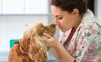 Clínica Veterinaria Juan Carlos de la Orden