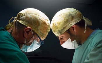 Hospital Veterinario Patino