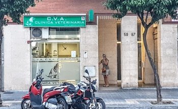 C V A Clínica Veterinaria