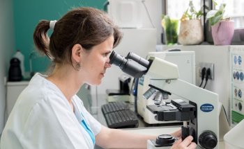 Les Corts Clínica Veterinària