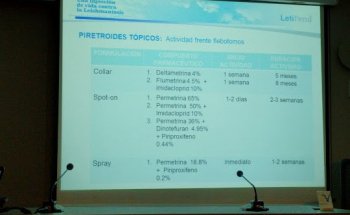 Ilustre Colegio Oficial de Veterinarios de Tarragona