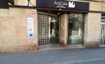 AniCura Bofarull Hospital Veterinari | Urgencias 24h