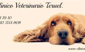 Centro Clínico Veterinario Teruel