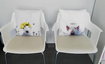 Clínica Veterinaria Dejando Huella