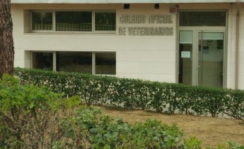 COLVETO - Colegio Oficial de Veterinarios de Toledo