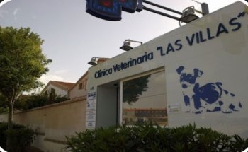 Clinica Veterinaria Las Villas