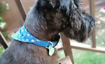 Clínica Veterinaria Sana Sana