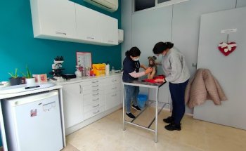 Clínica Veterinaria Madivet