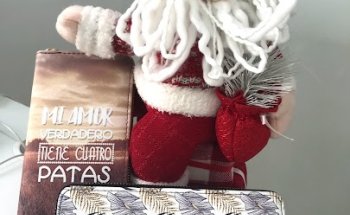 Quart Clínica Veterinaria Valencia