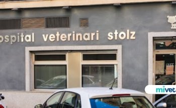 Clínica Veterinaria Stolz | MiVet