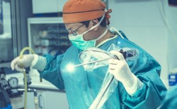 Clínica veterinaria Ayora (Valencia ciudad)