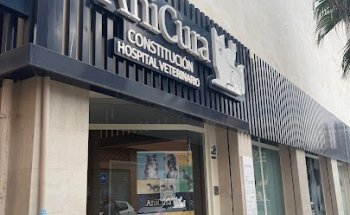 AniCura Constitución Hospital Veterinario