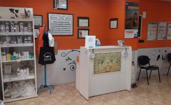 Clinica Veterinaria Scooby