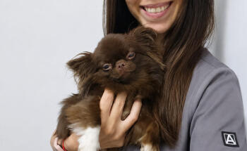 Upendi Clínica Veterinaria Valencia