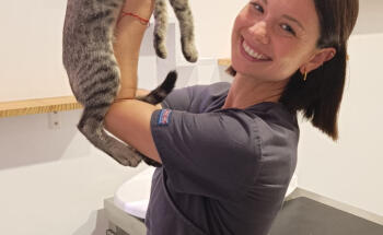 Upendi Clínica Veterinaria Valencia