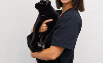 Upendi Clínica Veterinaria Valencia