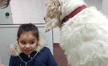 Clinica Veterinaria Santa Pau