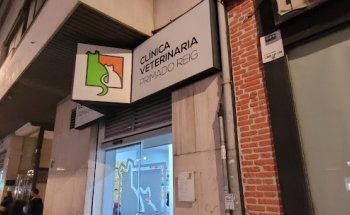 Clinica Veterinaria Primado Reig
