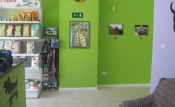 Clínica Veterinaria AcuMas (acupuntura de mascotas)