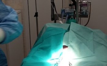 Centro Veterinario Lakua