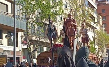 Colegio Oficial De Veterinarios