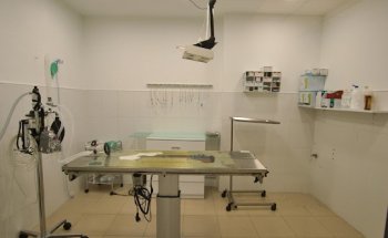 Clínica Veterinaria Zaragoza Centro cita:976 021 100 urgs: 644 91 92 00