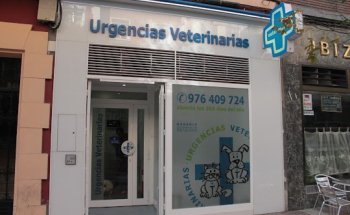 Urgencias Veterinarias Zaragoza