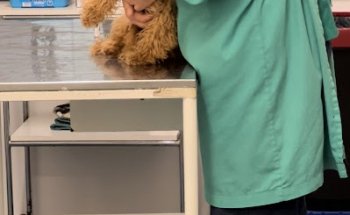 Clínica Veterinaria Delicias