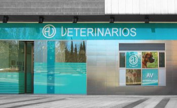 AV Veterinarios