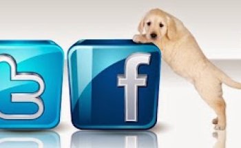 Clínica Veterinaria Roma