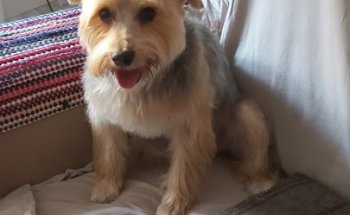 Clínica Veterinaria Parque Bruil