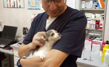 Clínica Veterinaria Gavear