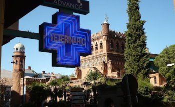 CLÍNICA VETERINARIA PASEO DE LA ESTACIÓN. ABIERTO 24 H.