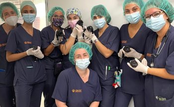 Hospital veterinario ALCOR