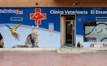 AmbulanVet Centro Veterinario El Ensanche